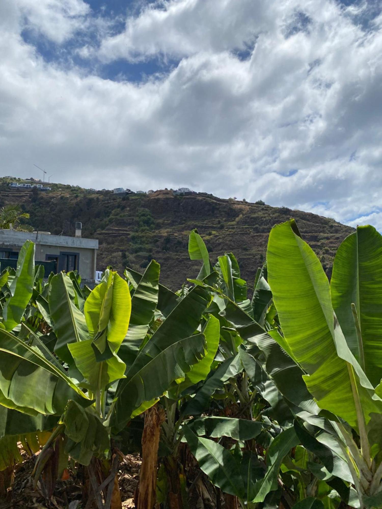 Apartamento Pana House Calheta  Exterior foto
