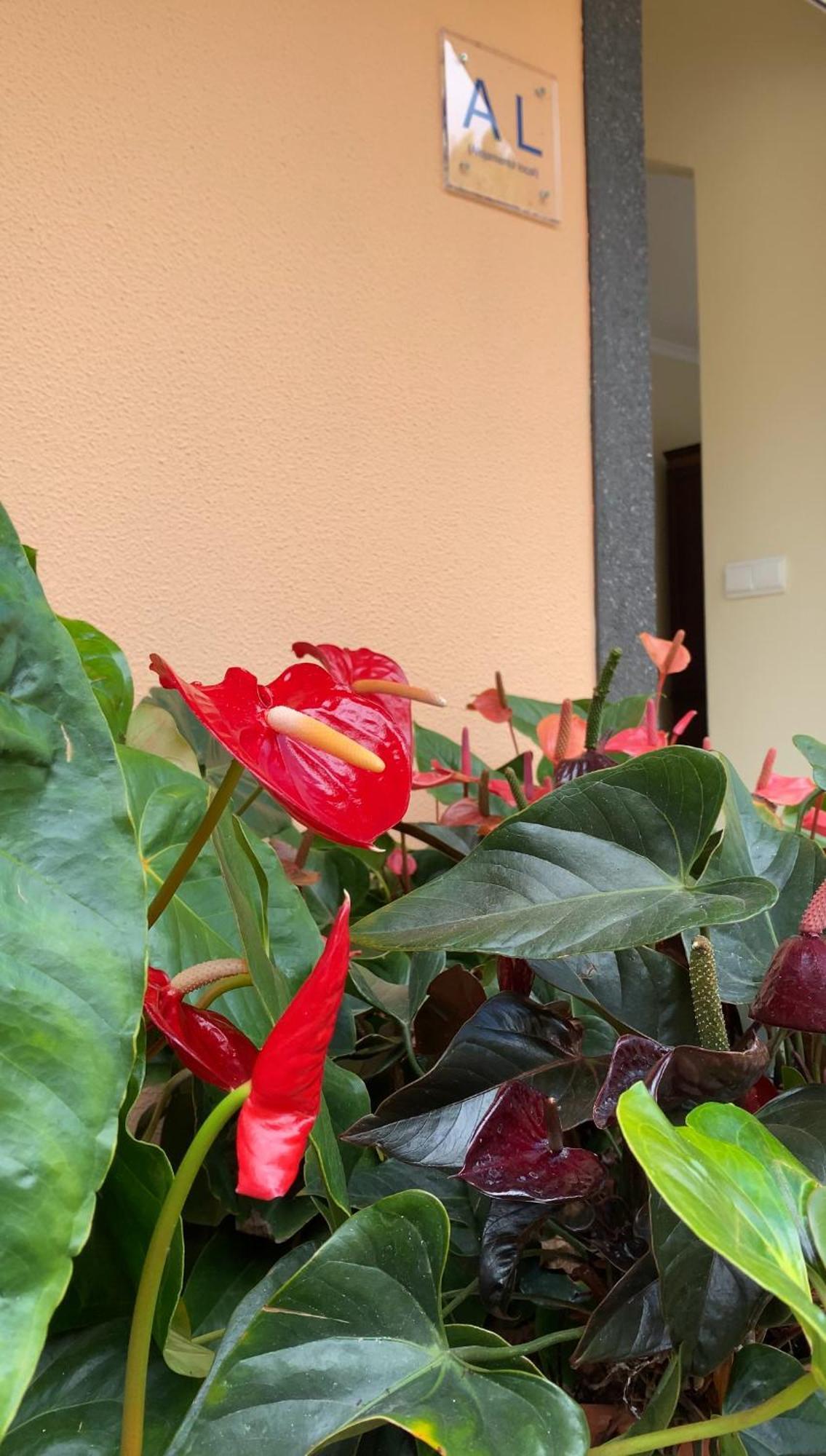 Apartamento Pana House Calheta  Exterior foto